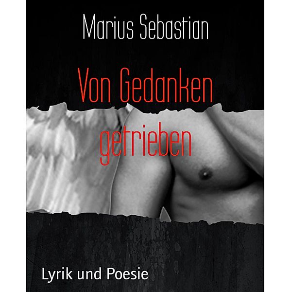 Von Gedanken getrieben, Marius Sebastian