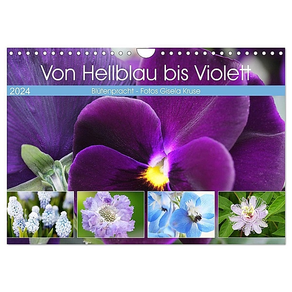 Von Hellblau bis Violett Blütenpracht (Wandkalender 2024 DIN A4 quer), CALVENDO Monatskalender, Gisela Kruse