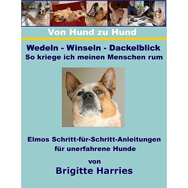 Von Hund zu Hund  - Wedeln-Winseln-Dackelblick - So kriege ich meinen Menschen rum, Brigitte Harries