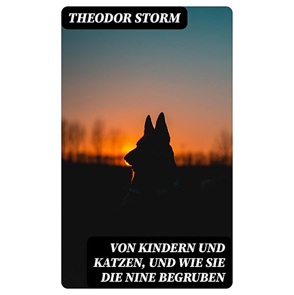 Von Kindern und Katzen, und wie sie die Nine begruben, Theodor Storm