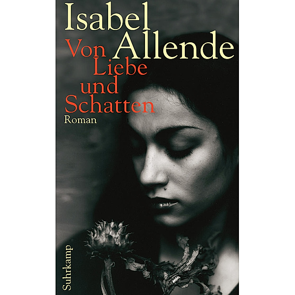 Von Liebe und Schatten, Isabel Allende