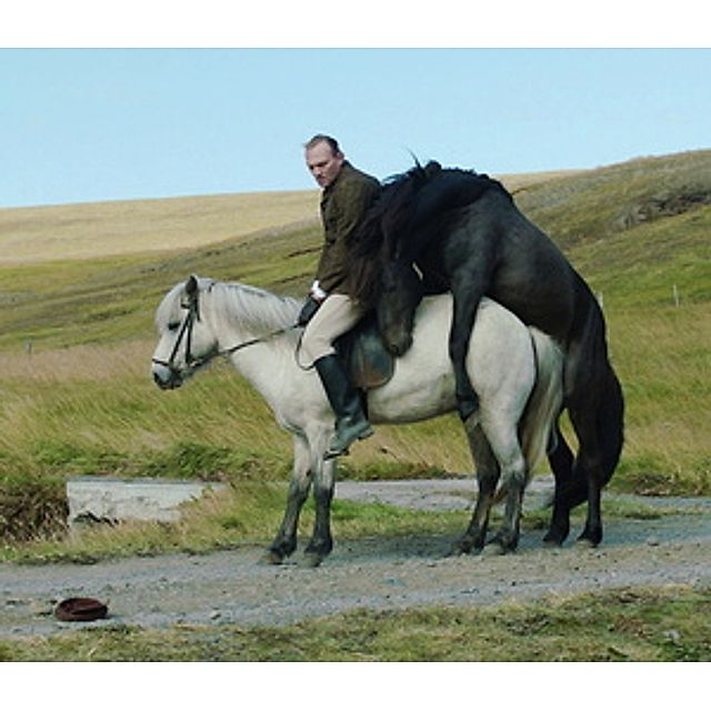 Von Menschen und Pferden DVD bei Weltbild.de bestellen