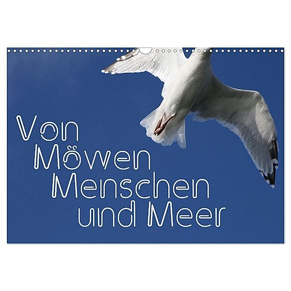 Von Möwen, Menschen und Meer (Wandkalender 2025 DIN A3 quer), CALVENDO Monatskalender, Calvendo, Maria Reichenauer