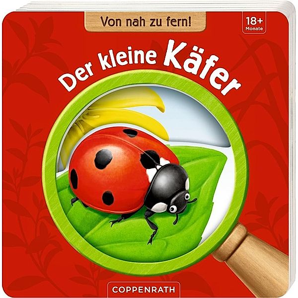 Von nah zu fern! Der kleine Käfer