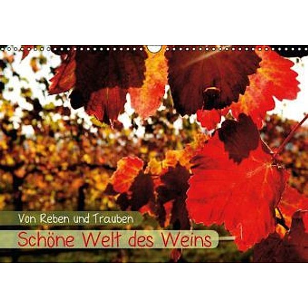 Von Reben und Trauben: Schöne Welt des Weins (Wandkalender 2015 DIN A3 quer), Calvendo