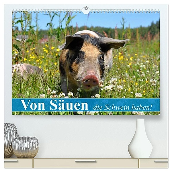 Von Säuen die Schwein haben! (hochwertiger Premium Wandkalender 2024 DIN A2 quer), Kunstdruck in Hochglanz, Elisabeth Stanzer