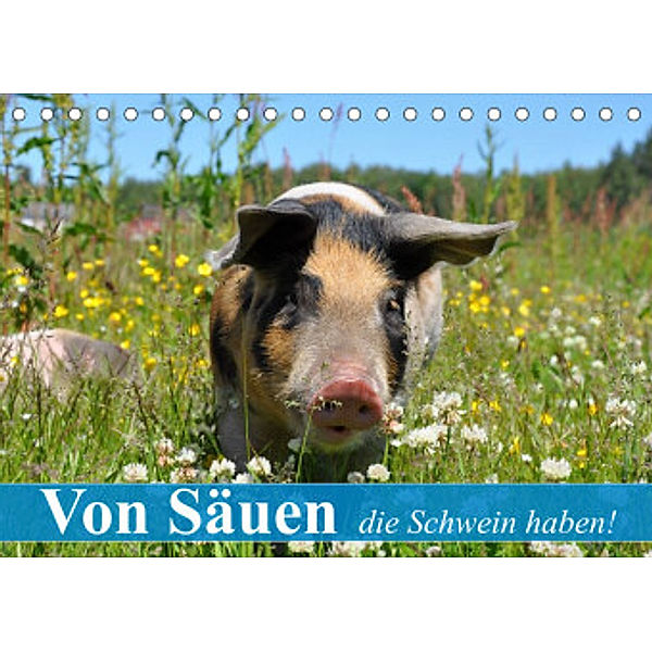 Von Säuen die Schwein haben! (Tischkalender 2022 DIN A5 quer), Elisabeth Stanzer