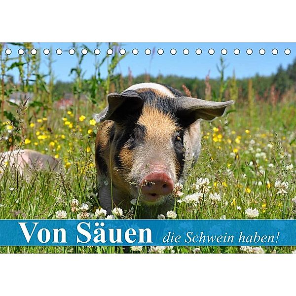 Von Säuen die Schwein haben! (Tischkalender 2023 DIN A5 quer), Elisabeth Stanzer