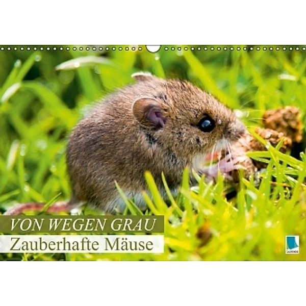 Von wegen grau: Zauberhafte Mäuse (Wandkalender 2015 DIN A3 quer), CALVENDO