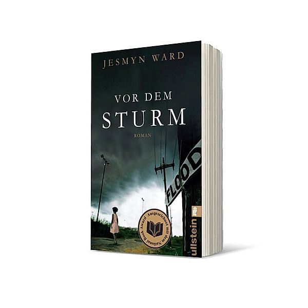 Vor dem Sturm, Jesmyn Ward