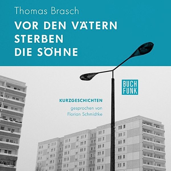 Vor den Vätern sterben die Söhne, Thomas Brasch