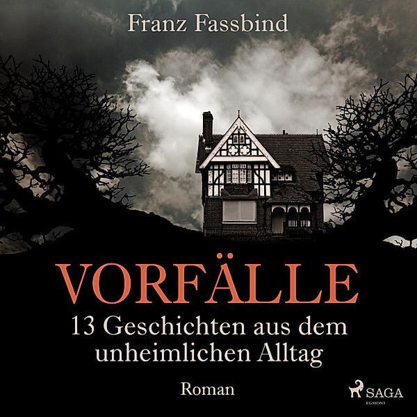 Vorfälle. 13 Geschichten aus dem unheimlichen Alltag (Ungekürzt), Franz Fassbind