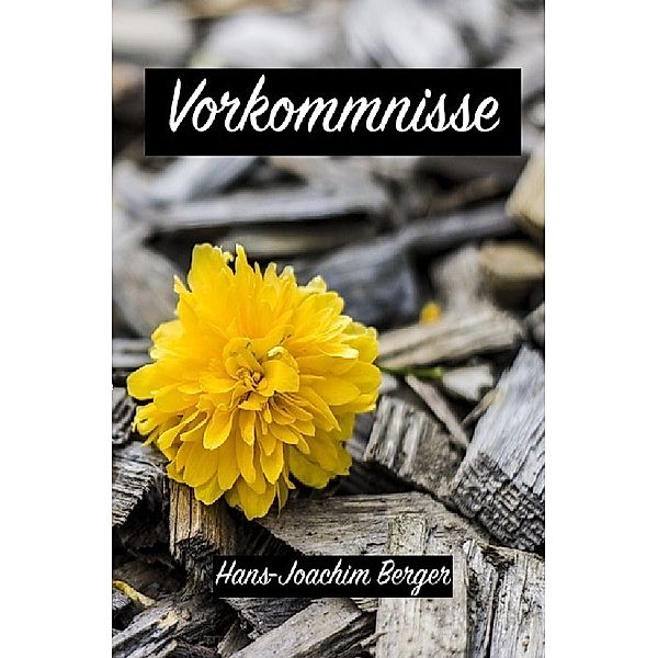 Vorkommnisse, Hans-Joachim Berger