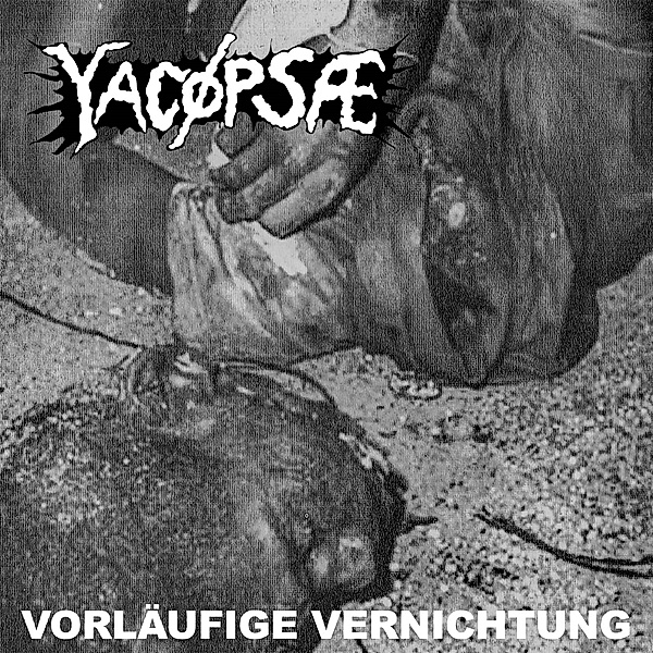 Vorläufige Vernichtung (Vinyl), Yacöpsae