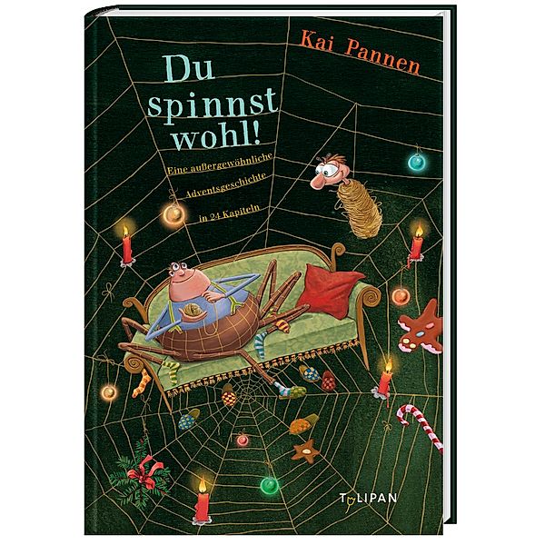 Vorlesebuch / Du spinnst wohl!, Kai Pannen