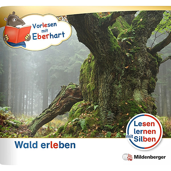 Vorlesen mit Eberhart - Wald erleben - Nachbezug Einzelheft, Nicole Brandau, Stefanie Drecktrah