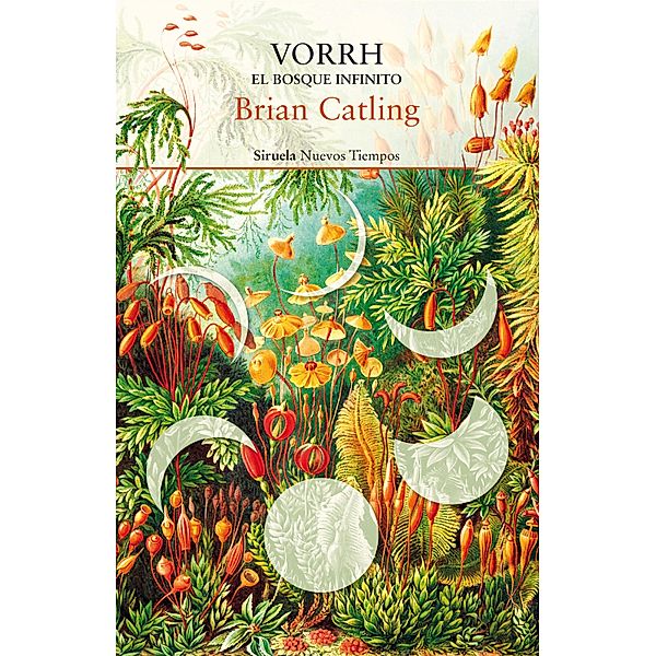 Vorrh. El bosque infinito / Nuevos Tiempos Bd.412, Brian Catling