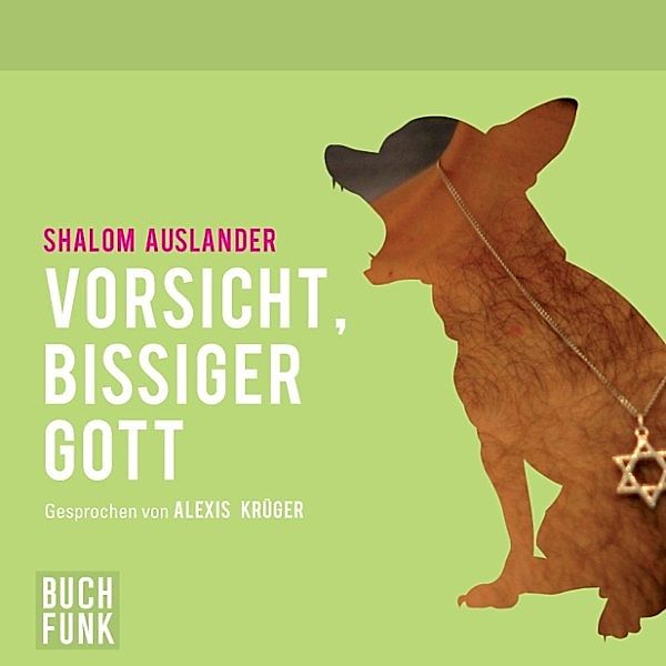 Vorsicht, bissiger Gott, Shalom Auslander