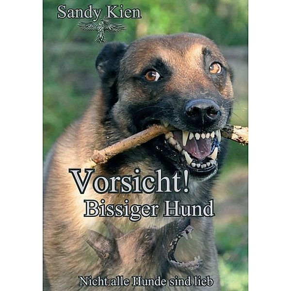 Vorsicht, bissiger Hund!, Sandy Kien