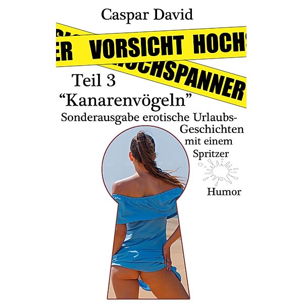 Vorsicht Hochspanner, Caspar David