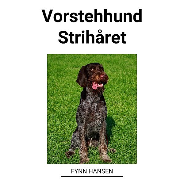 Vorstehhund Strihåret, Fynn Hansen
