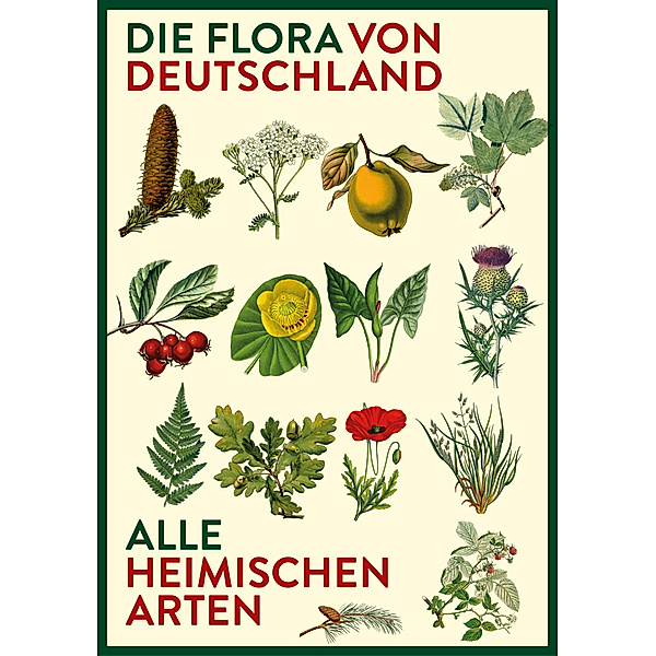 Vorzugsausgabe: Die Flora von Deutschland. Alle heimischen Arten., Oliver Tackenberg