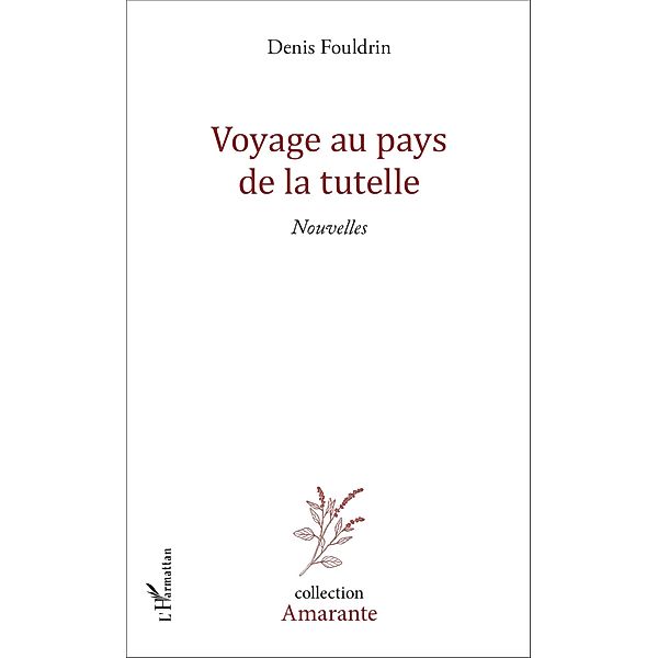 Voyage au pays de la tutelle, Fouldrin Denis Fouldrin