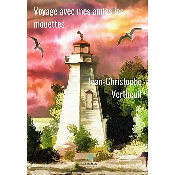 Voyage avec mes amies les mouettes, Jean-Christophe Vertheuil