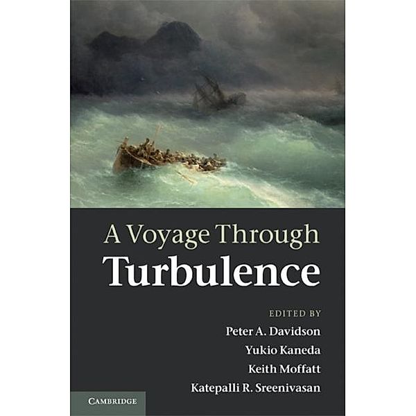 Voyage Through Turbulence