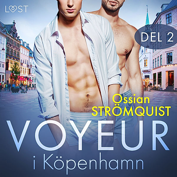 Voyeur i Köpenhamn - 2 - Voyeur i Köpenhamn 2 - erotisk novell, Ossian Strömquist