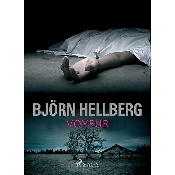 Voyeur / Sten Wall Bd.10, Björn Hellberg