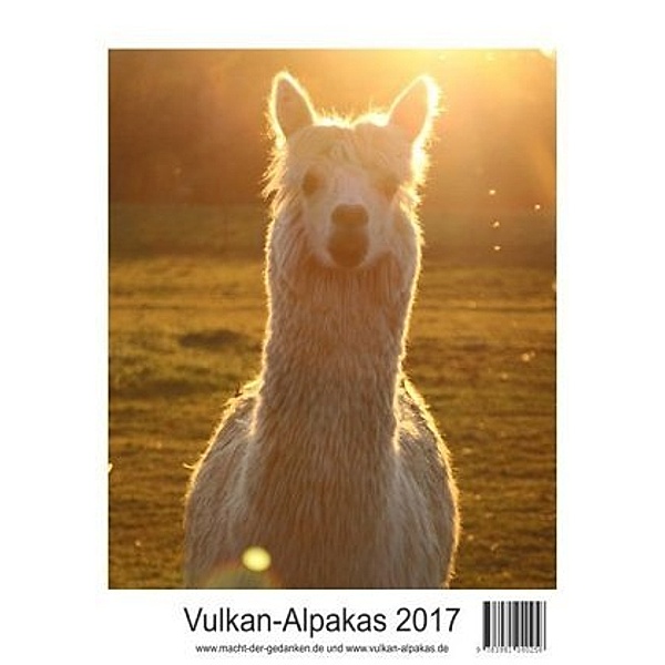 Vulkan-Alpakas 2017, Sieglinde Grommet