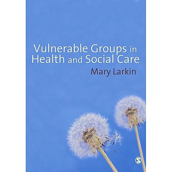 Vulnerable Groups in Health and Social Care, Mary Larkin