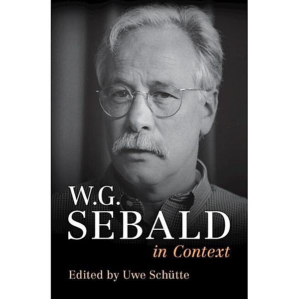 W. G. Sebald in Context