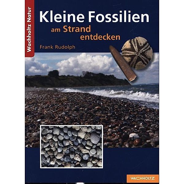 Wachholtz Natur / Kleine Fossilien am Strand entdecken, Frank Rudolph