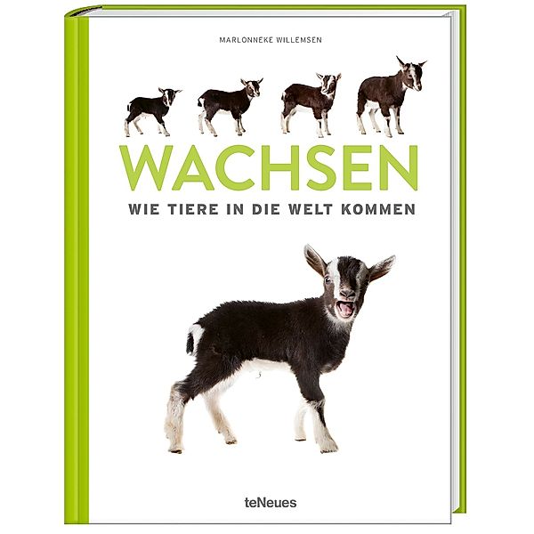 Wachsen, Marlonneke Willemsen