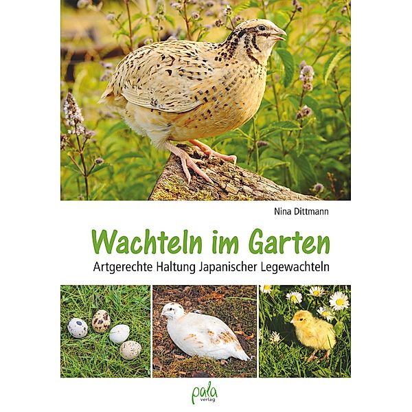 Wachteln im Garten, Nina Dittmann