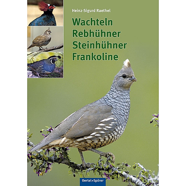 Wachteln, Rebhühner, Frankoline, Heinz-Sigurd Raethel