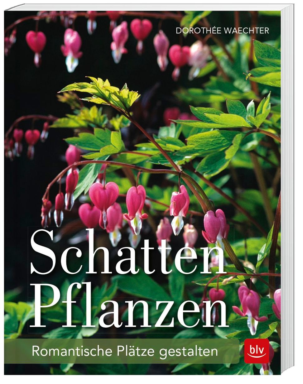 Waechter, D: Schattenpflanzen Buch versandkostenfrei bei Weltbild.ch