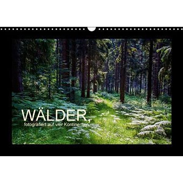 Wälder, fotografiert auf vier Kontinenten (Wandkalender 2015 DIN A3 quer), Richard Walliser