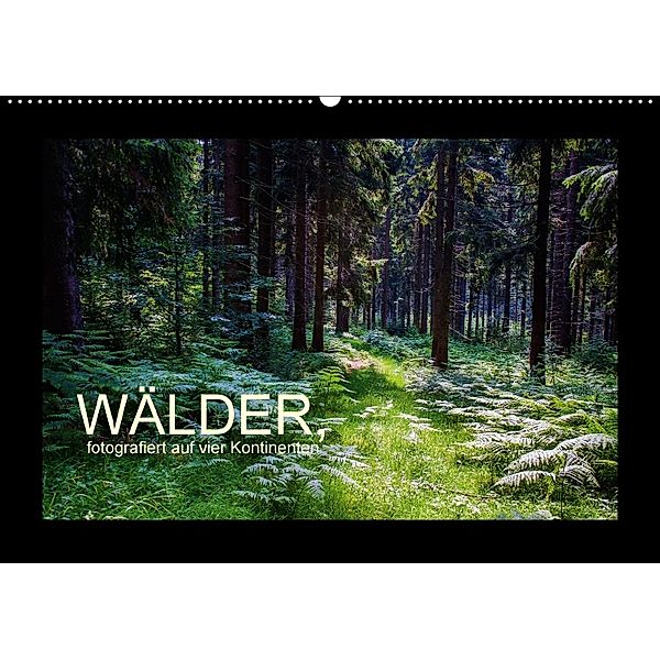 Wälder, fotografiert auf vier Kontinenten (Wandkalender 2018 DIN A2 quer), Richard Walliser