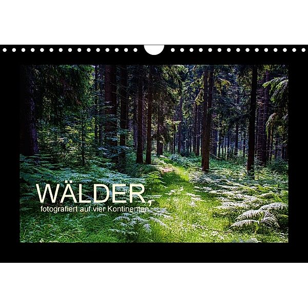 Wälder, fotografiert auf vier Kontinenten (Wandkalender 2018 DIN A4 quer), Richard Walliser