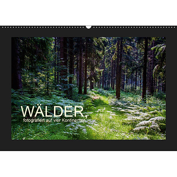 Wälder, fotografiert auf vier Kontinenten (Wandkalender 2019 DIN A2 quer), Richard Walliser