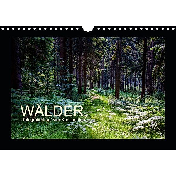 Wälder, fotografiert auf vier Kontinenten (Wandkalender 2020 DIN A4 quer), Richard Walliser