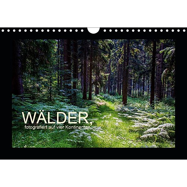 Wälder, fotografiert auf vier Kontinenten (Wandkalender 2021 DIN A4 quer), Richard Walliser