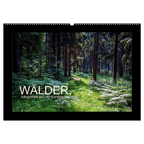 Wälder, fotografiert auf vier Kontinenten (Wandkalender 2024 DIN A2 quer), CALVENDO Monatskalender, Richard Walliser