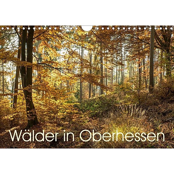 Wälder in Oberhessen (Wandkalender 2021 DIN A4 quer), Karl-Günter Balzer