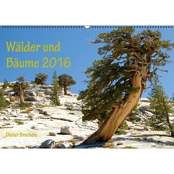Wälder und Bäume 2016 (Wandkalender 2016 DIN A2 quer), Dieter Brecheis