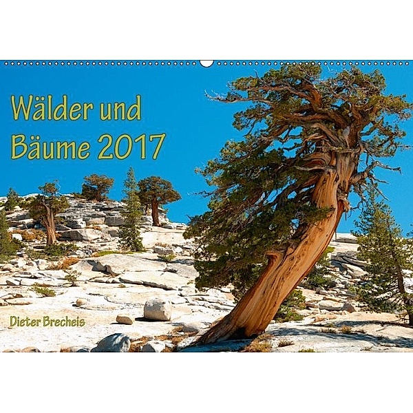 Wälder und Bäume 2017 (Wandkalender 2017 DIN A2 quer), Dieter Brecheis