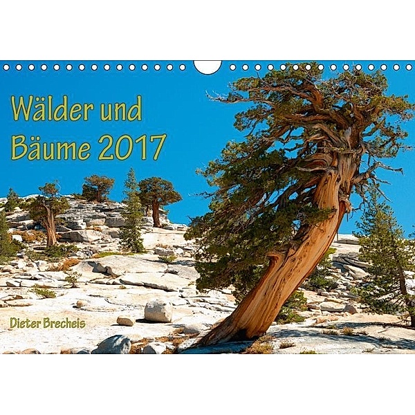 Wälder und Bäume 2017 (Wandkalender 2017 DIN A4 quer), Dieter Brecheis